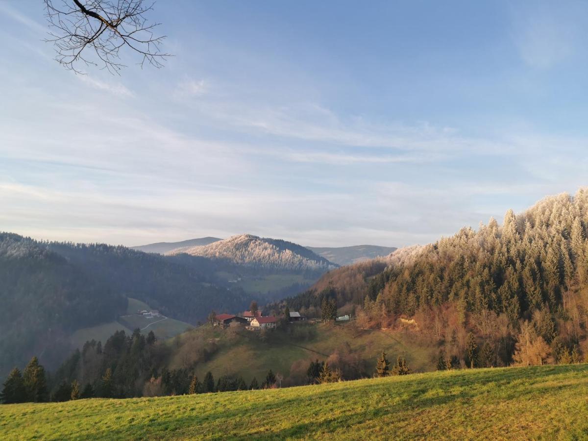 Villa Richterberg With Sauna & Hot Tub Slovenj Gradec Exterior photo