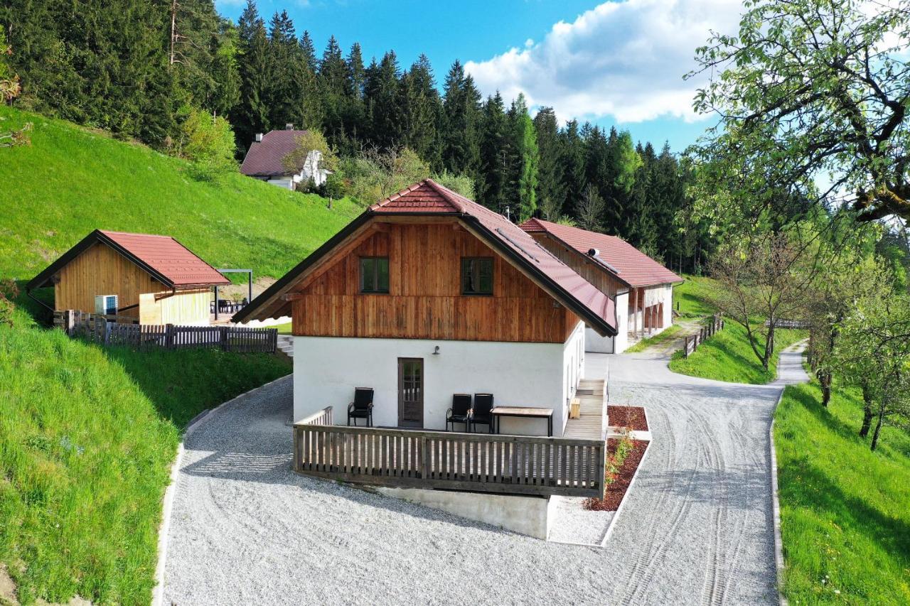 Villa Richterberg With Sauna & Hot Tub Slovenj Gradec Exterior photo