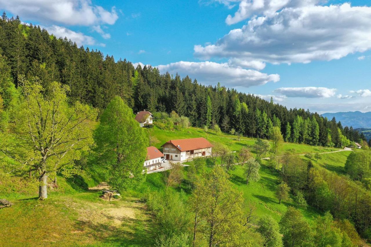 Villa Richterberg With Sauna & Hot Tub Slovenj Gradec Exterior photo
